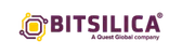 Bitsilica