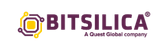 Bitsilica