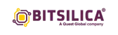 Bitsilica